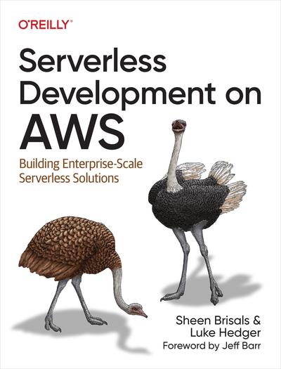 Serverless Development on AWS: Building Enterprise-Scale Serverless Solutions